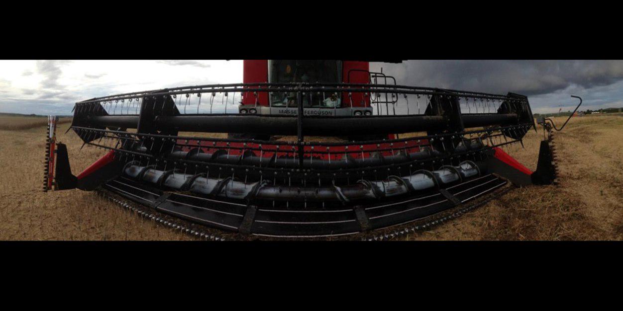DB banner