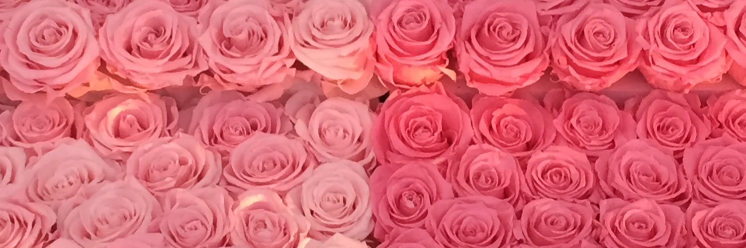 lauendc's profile banner image
