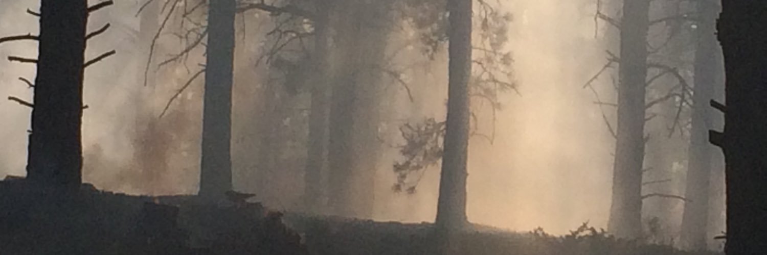 mistydesalvo's profile banner image