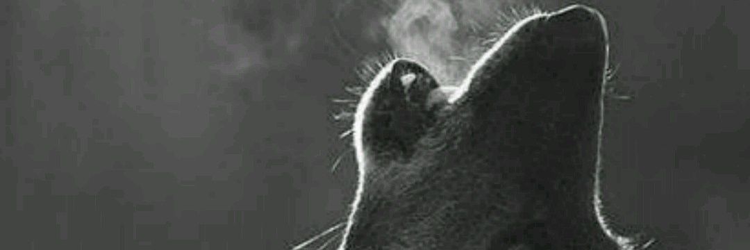 hakanacar15's profile banner image