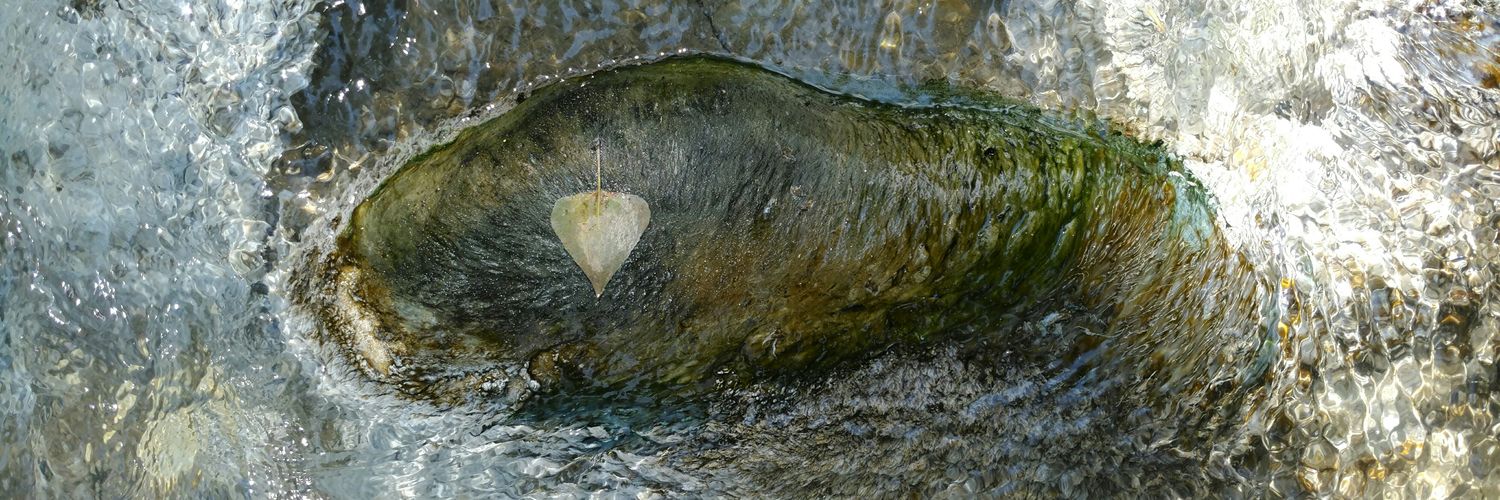 gioamelie's profile banner image