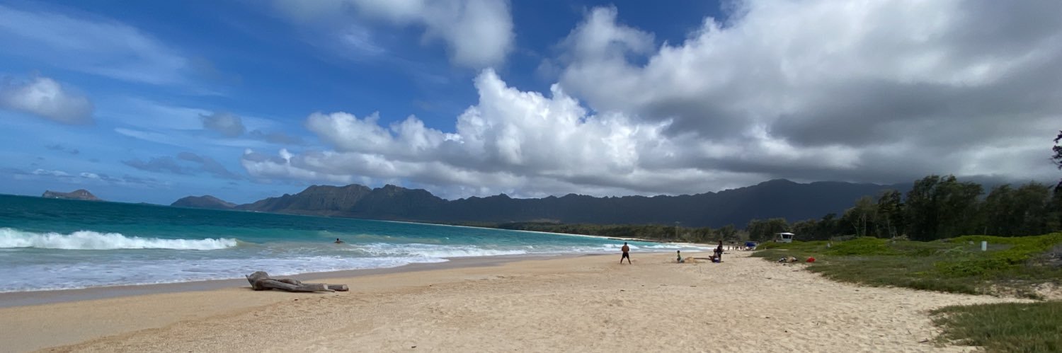 Andrea Chavez banner