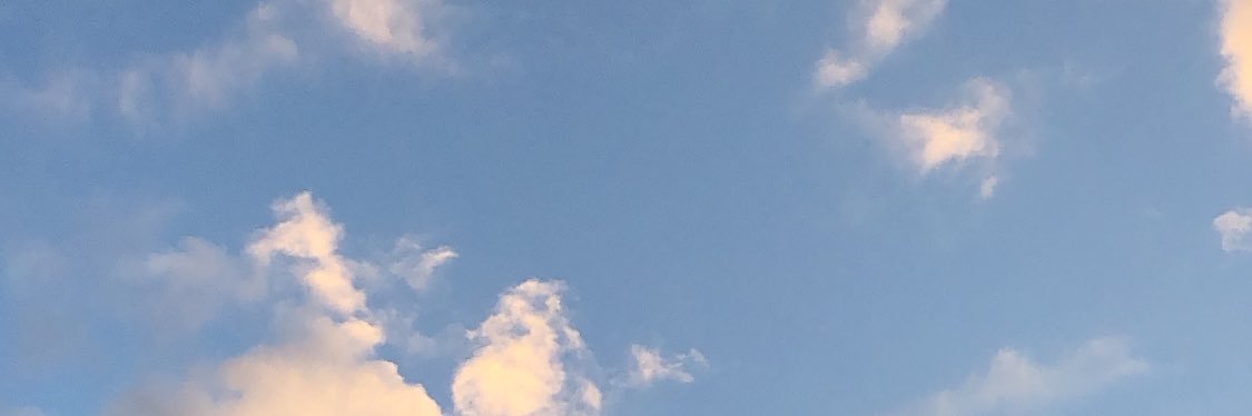 sara_rch's profile banner image
