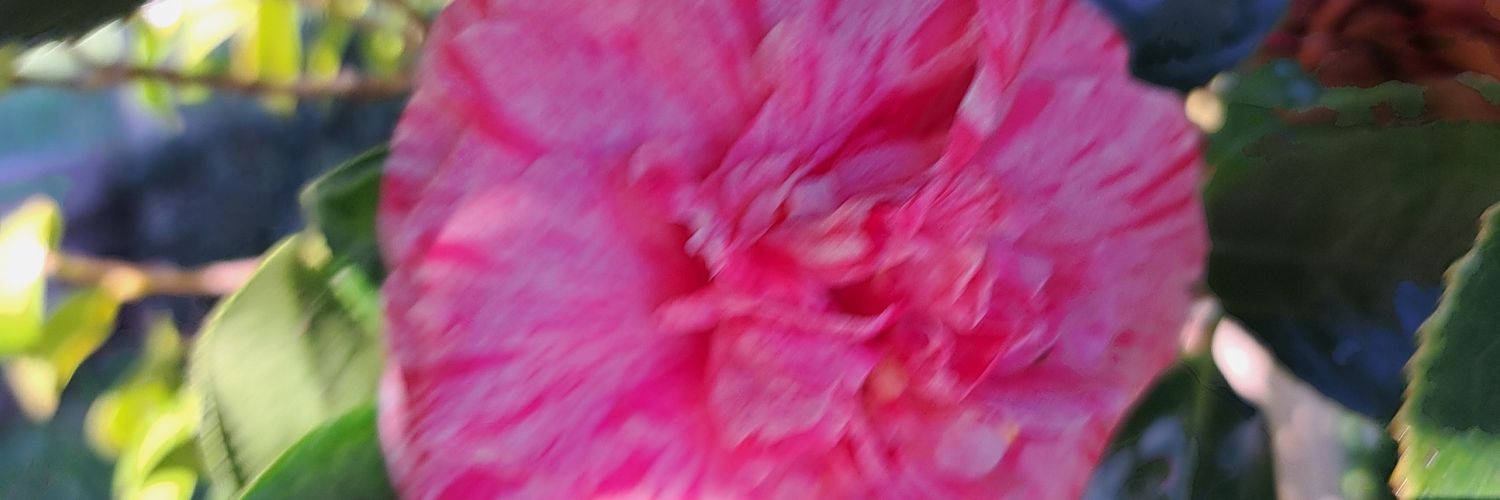 marixe12's profile banner image