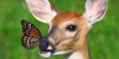 vicent6621's profile banner image