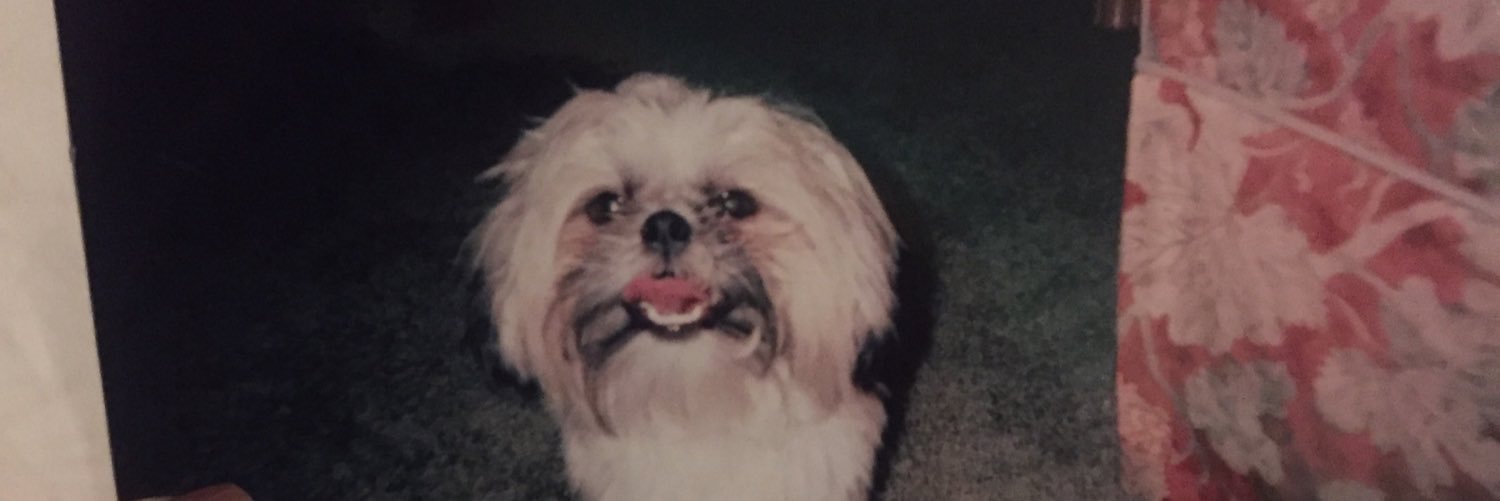 morgandebo's profile banner image