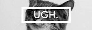 thay_ip's profile banner image