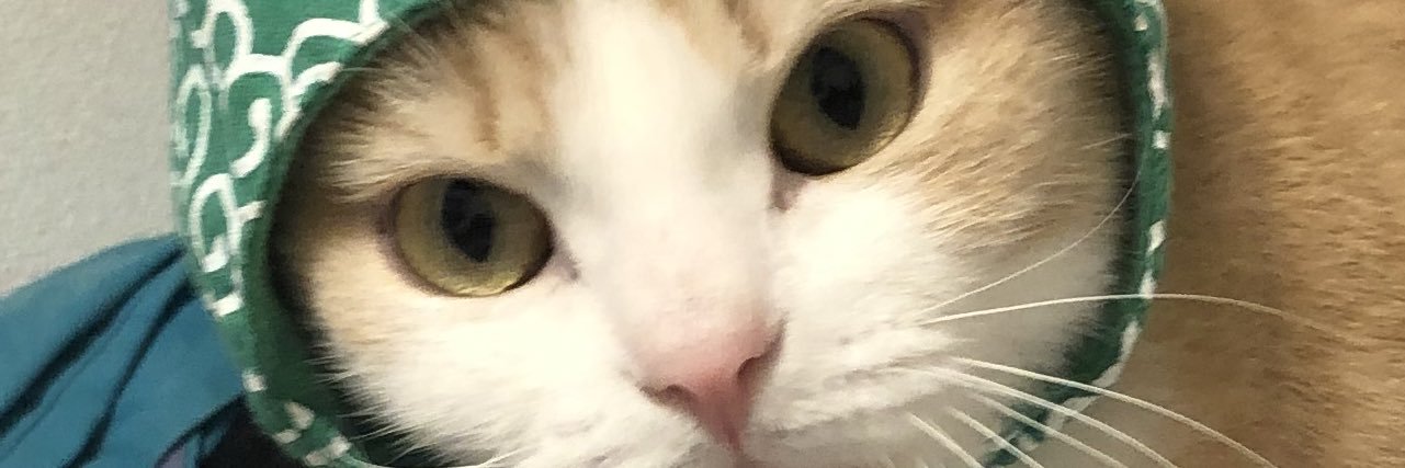 Mega333Niku's profile banner image