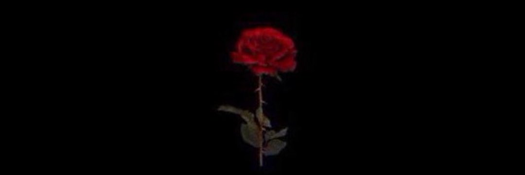 NMSAlZ's profile banner image