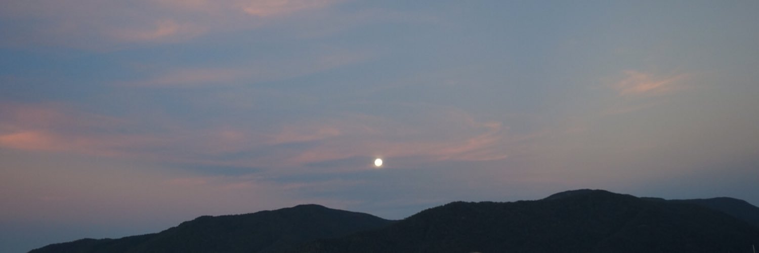 sarajemelander's profile banner image