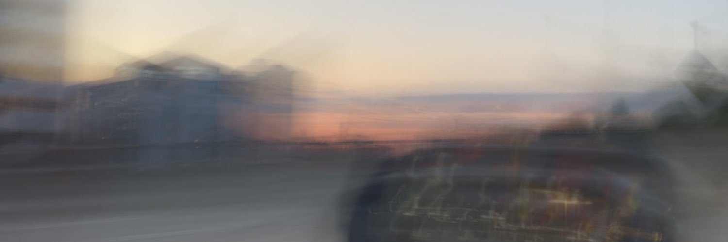 devon_foxy's profile banner image