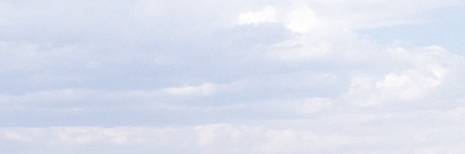 Brendarico916's profile banner image