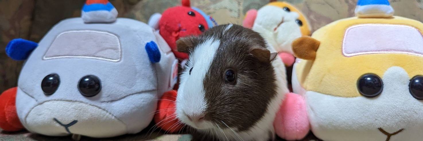 Hitomi Hirade banner