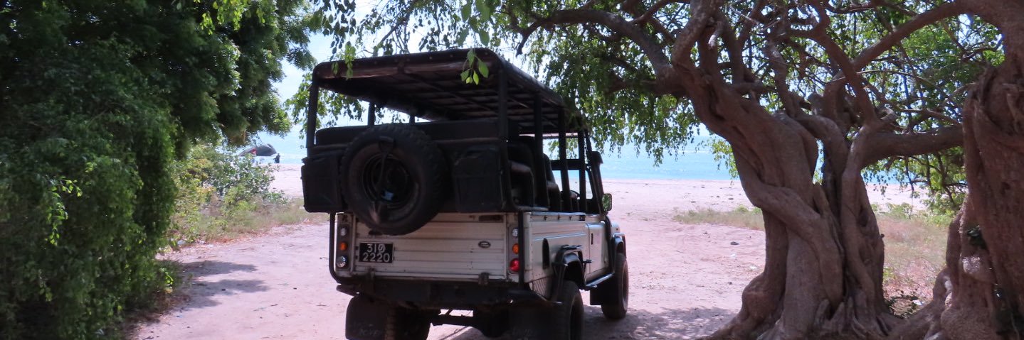westfello's profile banner image