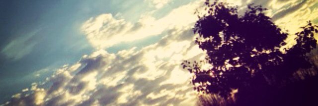ziontesfaye3's profile banner image