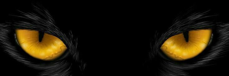 _AG96's profile banner image