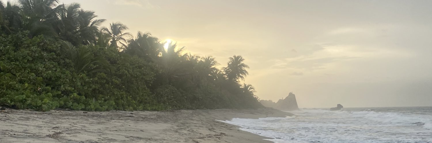 Catalina_AM's profile banner image