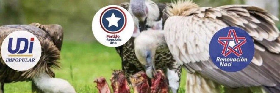 marlene #EnContra 💪🌳 banner