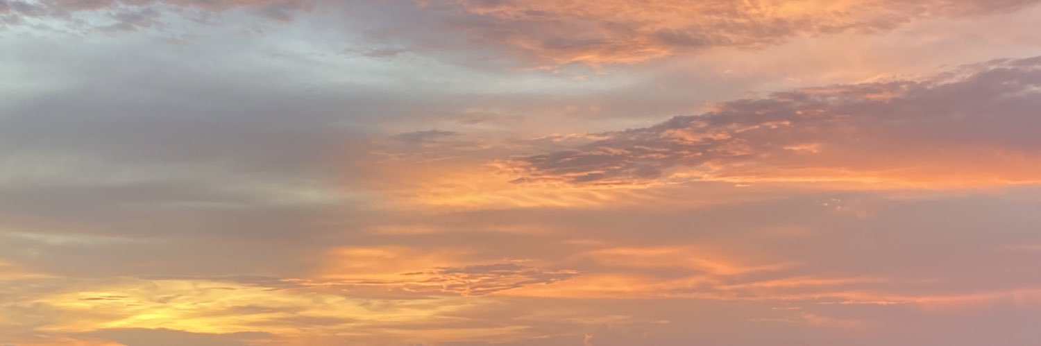 coco_nicolee's profile banner image