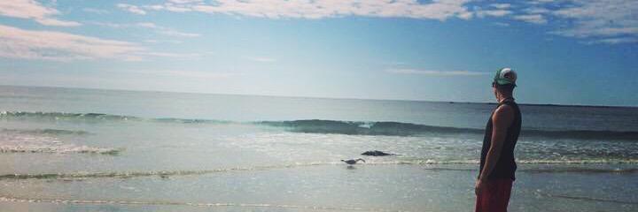 drichards_16's profile banner image