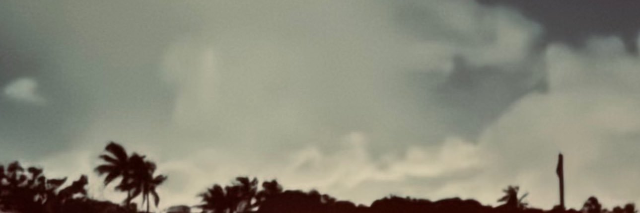 bibi banner