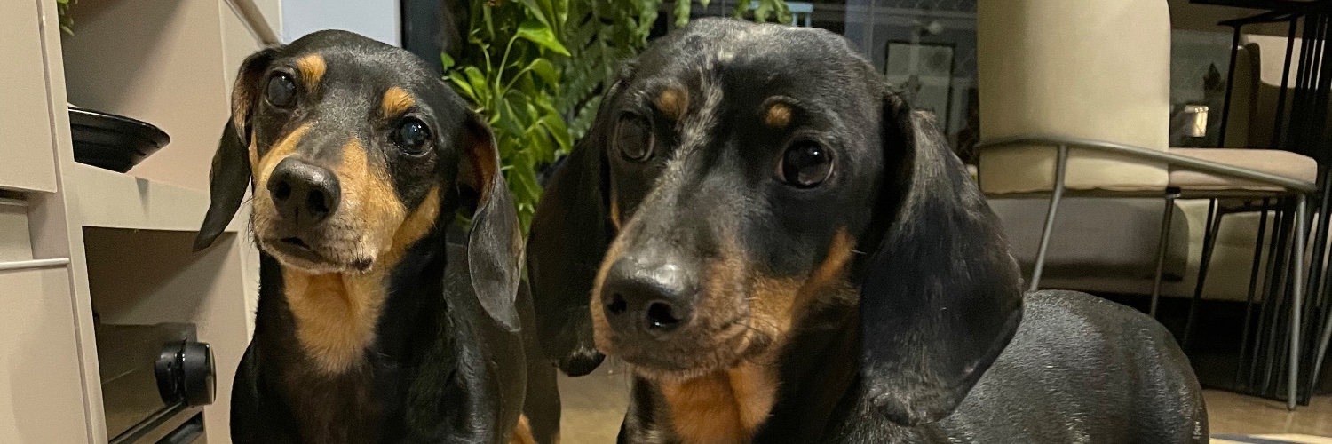 laraguerrap's profile banner image
