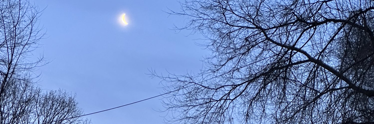gexocobaltat's profile banner image