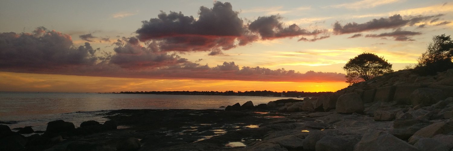 Ewaldo Leitão banner