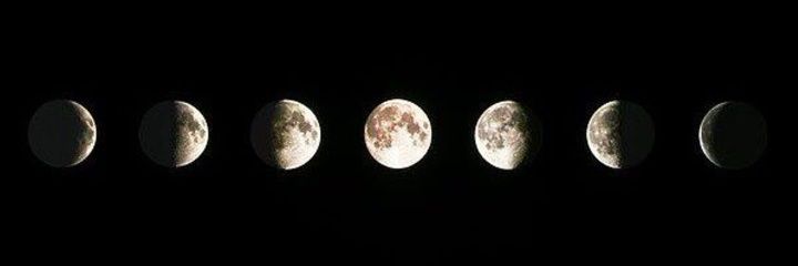 سام أموندي🌍🇷🇺🇰🇪 banner