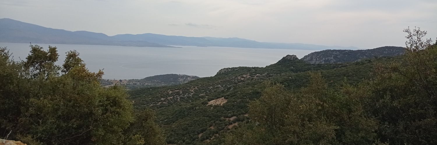 Demet Özer's banner