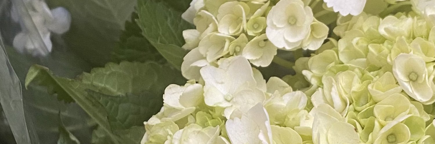 steph_aa27's profile banner image