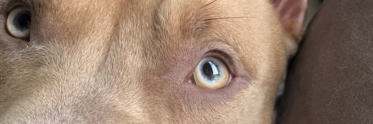 _therealvic's profile banner image