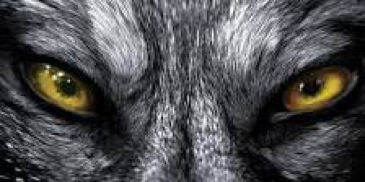 kcribbbs's profile banner image