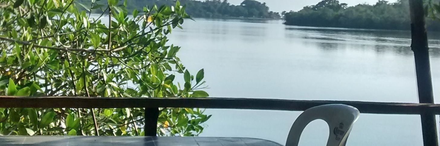 gabtzo's profile banner image