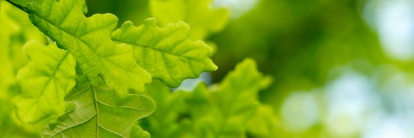 USEndowment Profile Banner