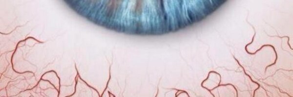 Oeschole Profile Banner