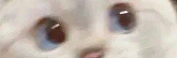 BBisMeister's profile banner image
