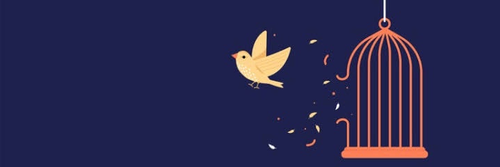 Angiemuack's profile banner image