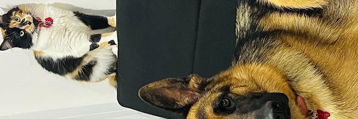 franjortabilo's profile banner image