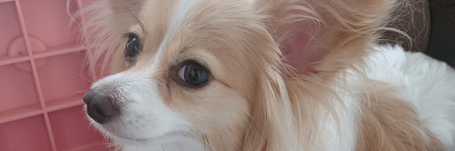 hide_vivien's profile banner image