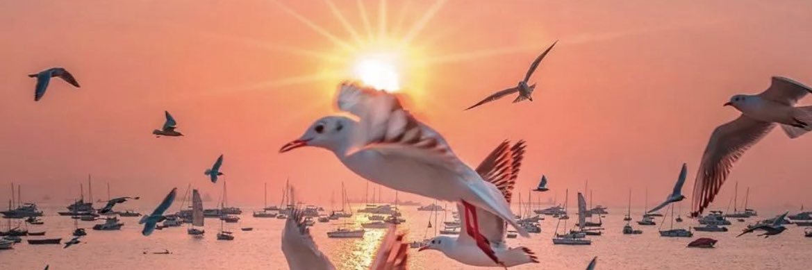 encarr's profile banner image