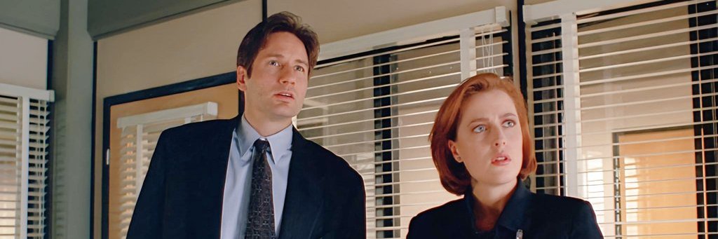 andrea  gerez banner