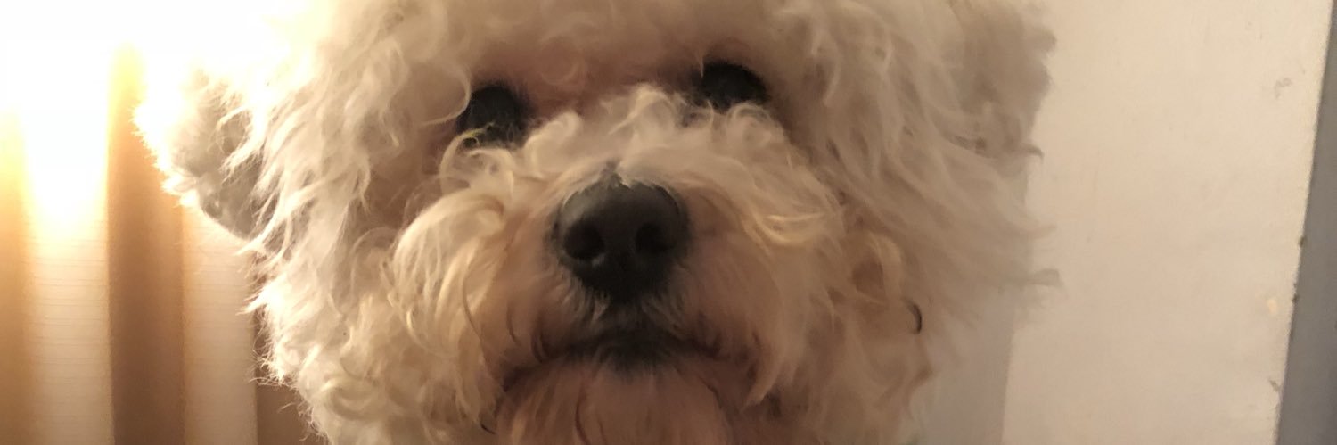 DaphneSerna's profile banner image