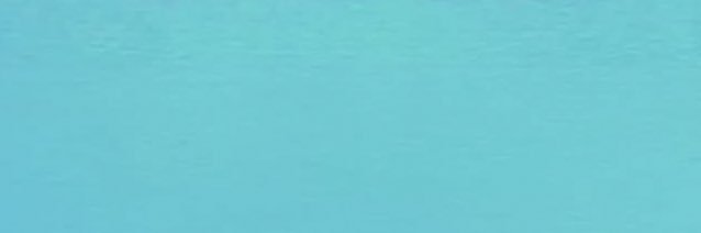 sam flora 🌸 banner