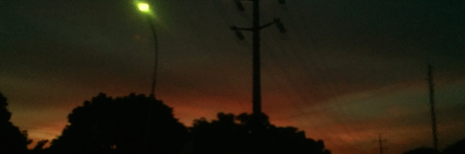 la. banner
