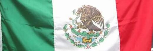 mayocanas's profile banner image