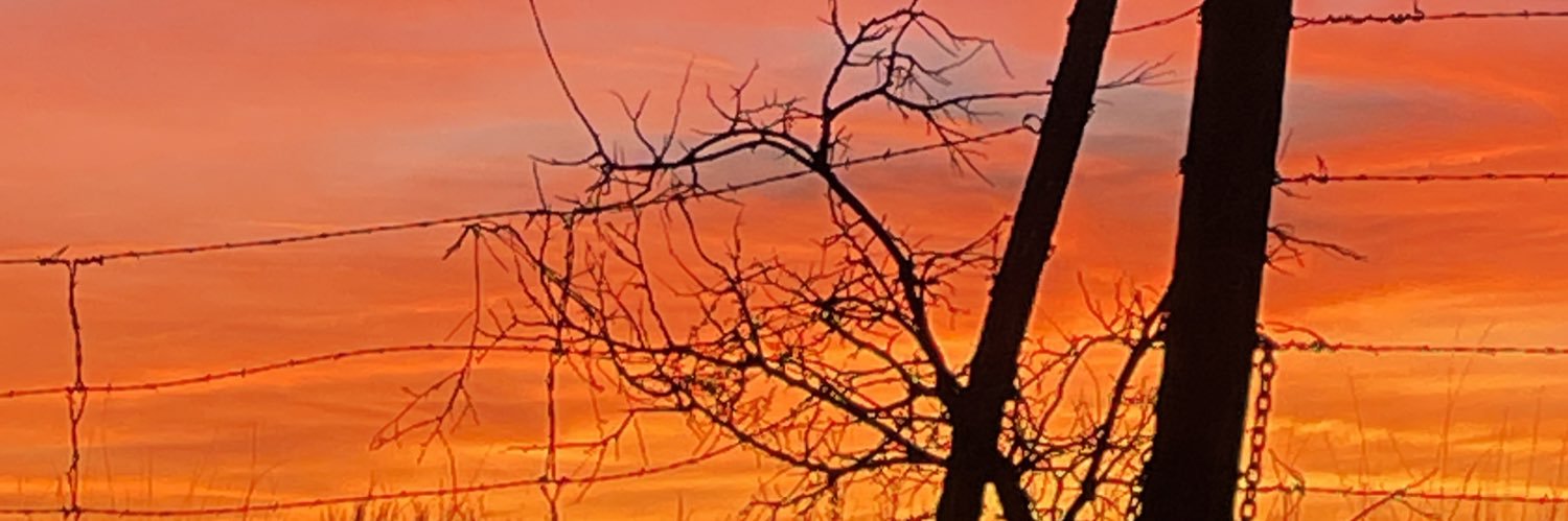 txrivermanb's profile banner image