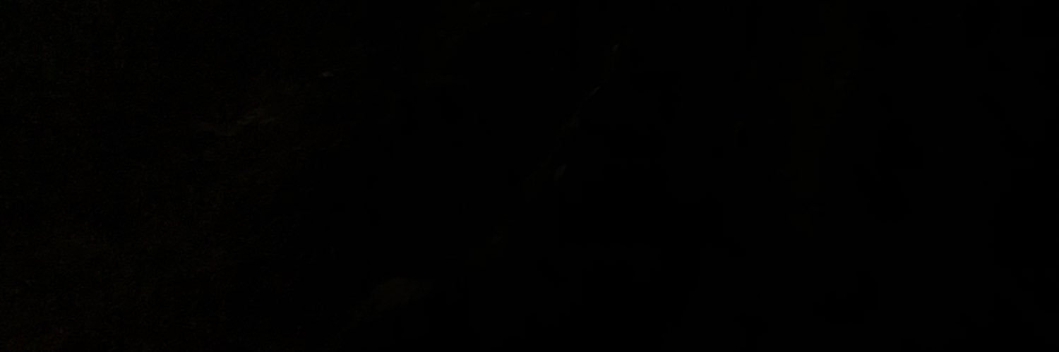 beccapiatt's profile banner image
