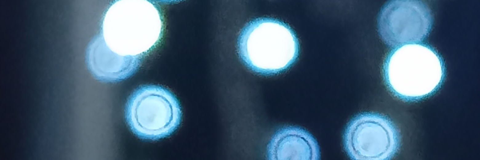 RoseMeine's profile banner image