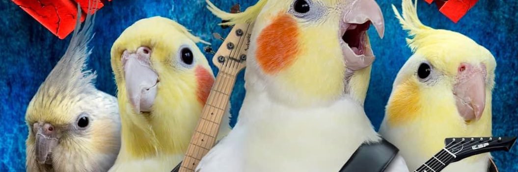 Redtelly's profile banner image